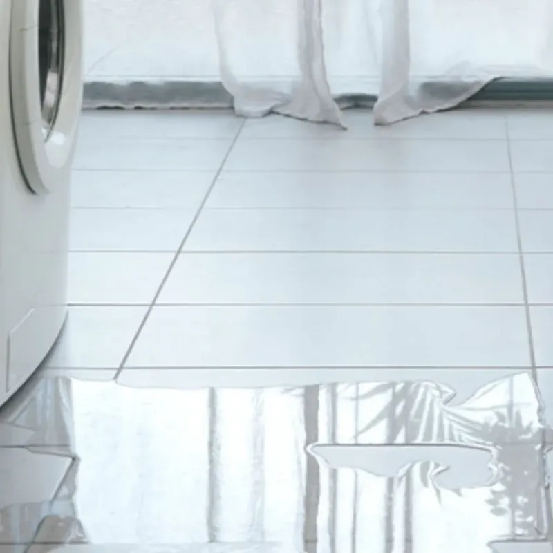 Appliance Leak Cleanup in Mount Vernon, TX