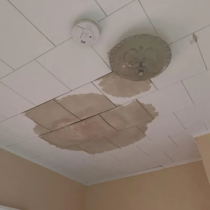 Ceiling Water Damage Repair in Mount Vernon, TX
