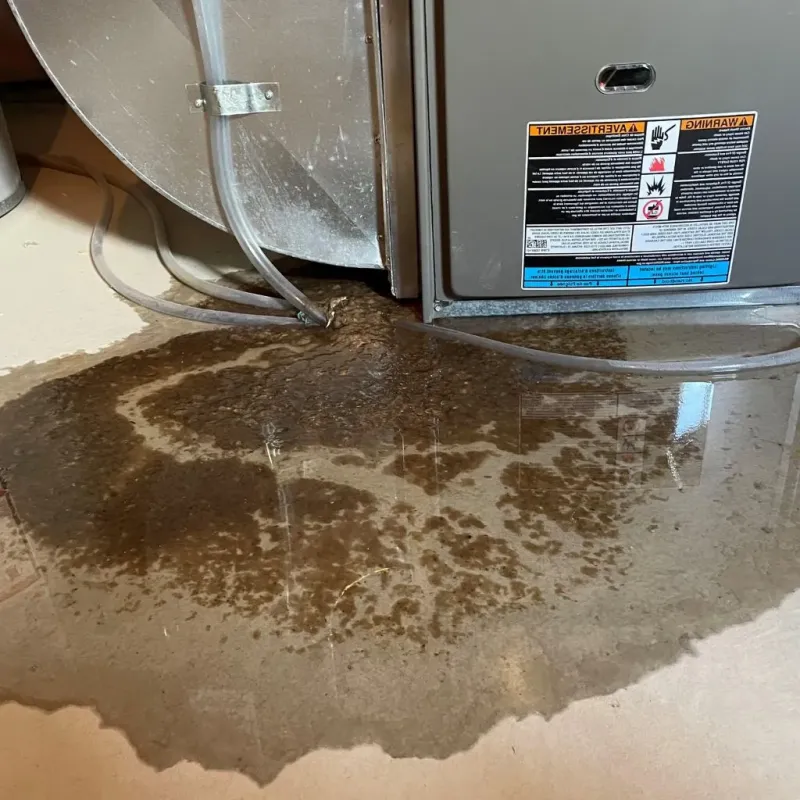 Pipe Burst and Leak Restoration in Mount Vernon, TX