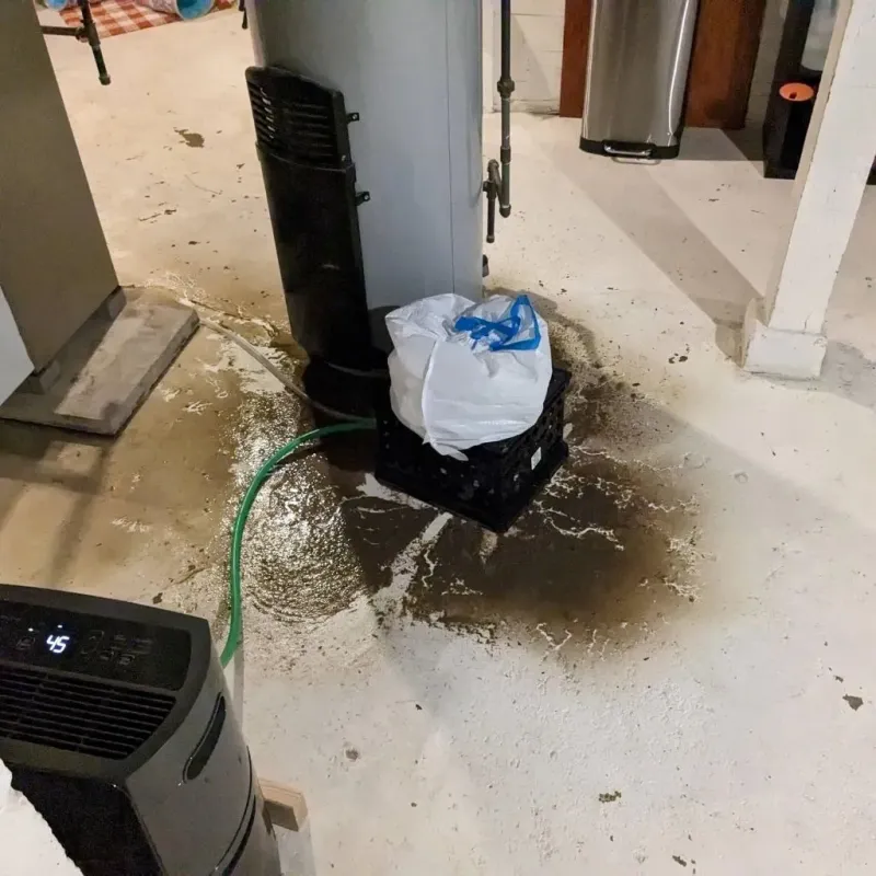 Sewage Backup Cleanup Service in Mount Vernon, TX